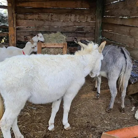 Les Combelles A La Ferme Prázdninový dům Siran (Herault)