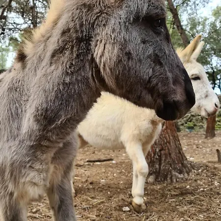 Prázdninový dům Les Combelles A La Ferme *